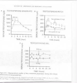 patch-gel-com-b-w.jpg