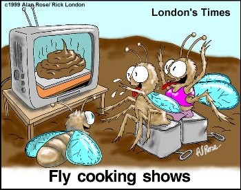 fly-cook-tv-show.jpg