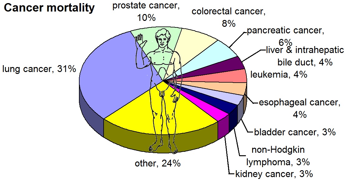 Diet and Cancer: How the Western Diet Drives Cancer