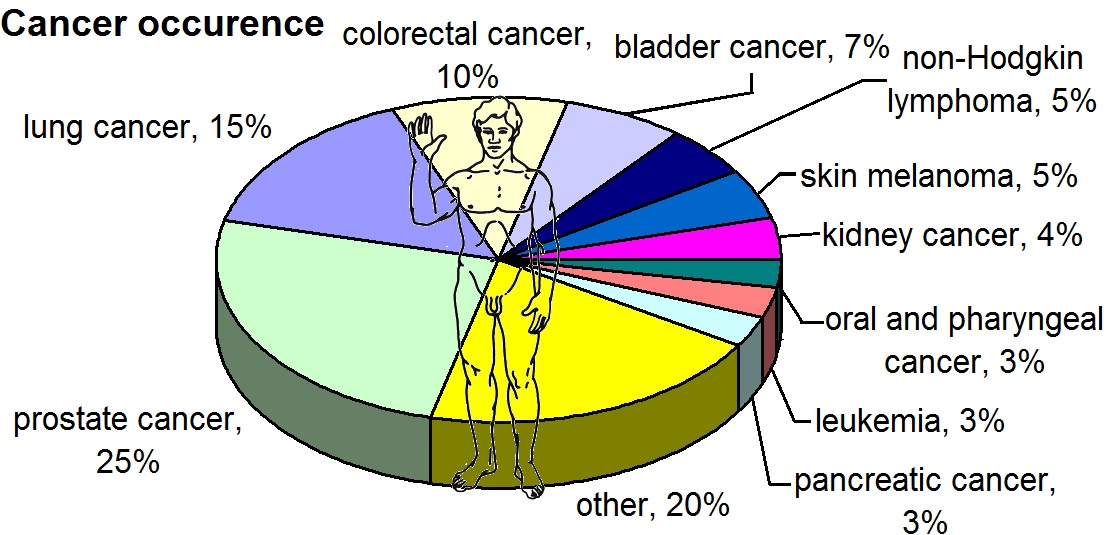 Cancer Basics and Chemotherapy: What the Evidence Shows